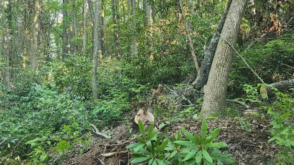 0 Tumbling Creek Road Copperhill TN 37317