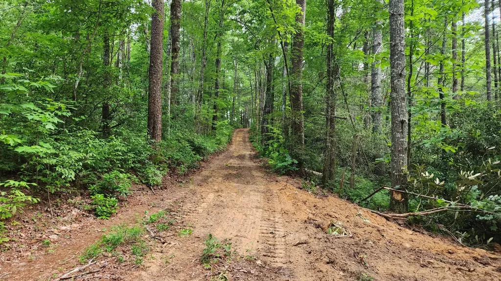 0 Tumbling Creek Road Copperhill TN 37317