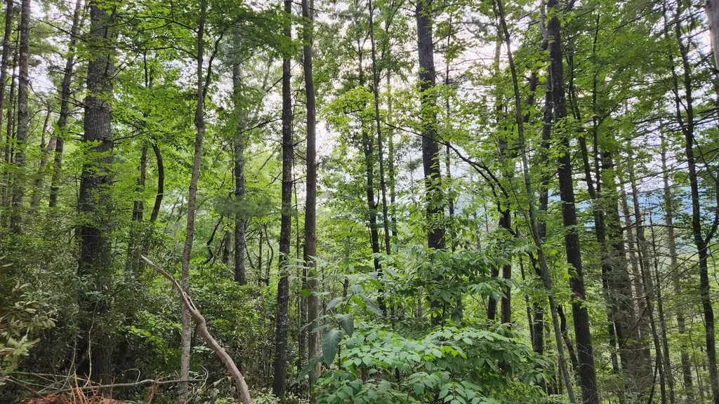0 Tumbling Creek Road Copperhill TN 37317