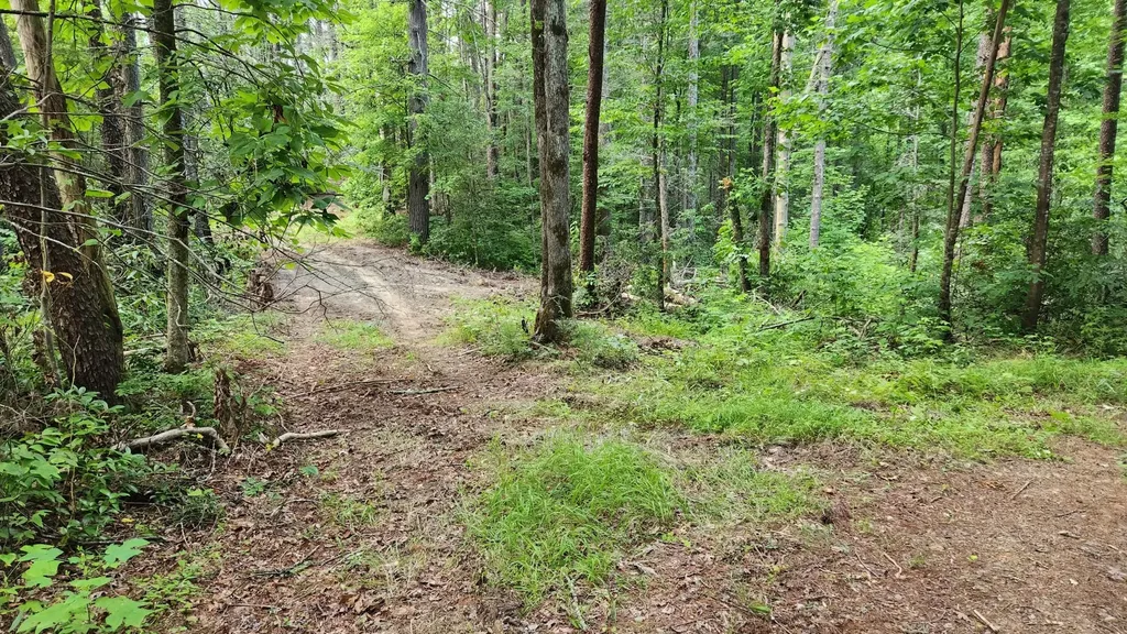 0 Tumbling Creek Road Copperhill TN 37317