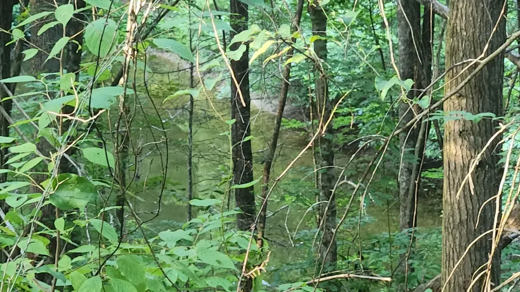 0 Tumbling Creek Road Copperhill TN 37317