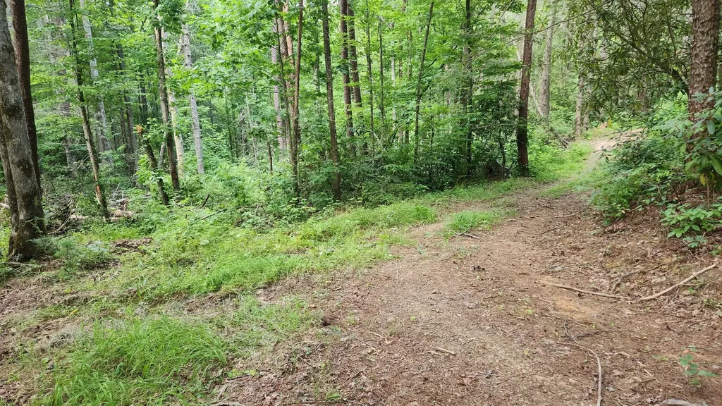 0 Tumbling Creek Road Copperhill TN 37317