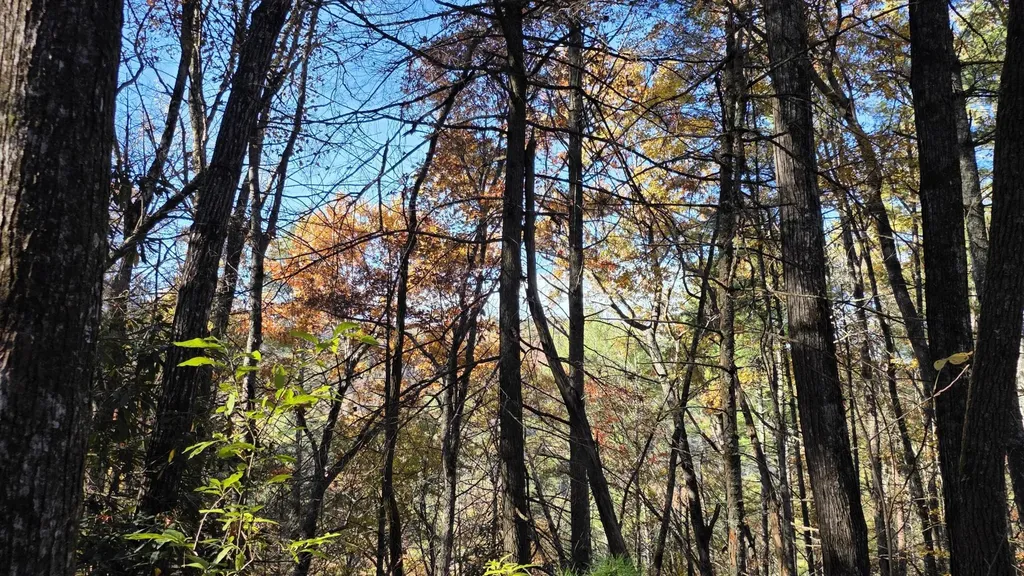 0 Tumbling Creek Road Copperhill TN 37317