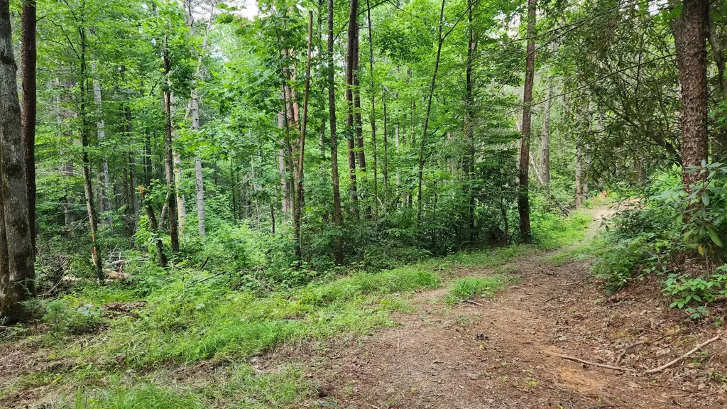 0 Tumbling Creek Road Copperhill TN 37317