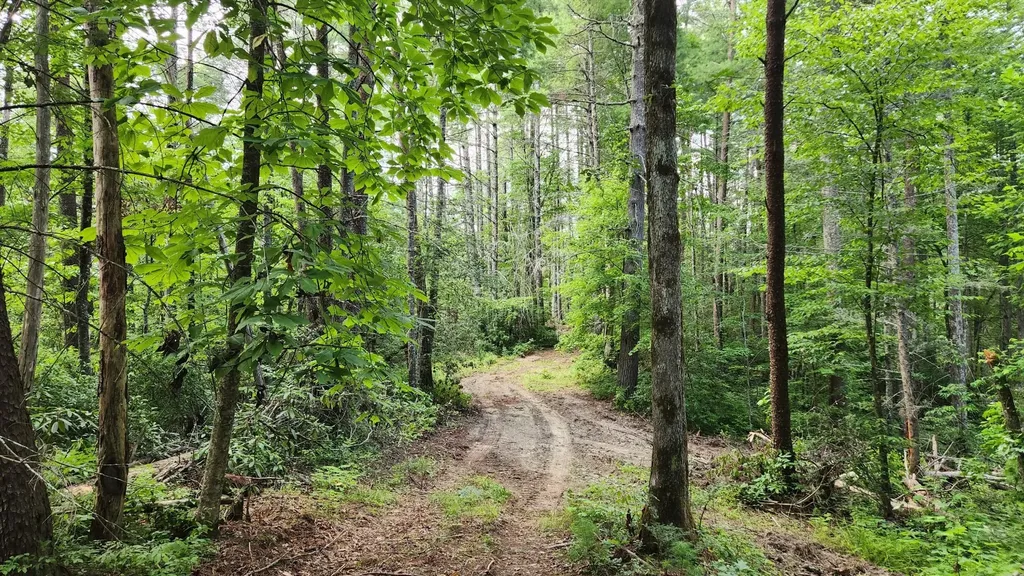 0 Tumbling Creek Road Copperhill TN 37317