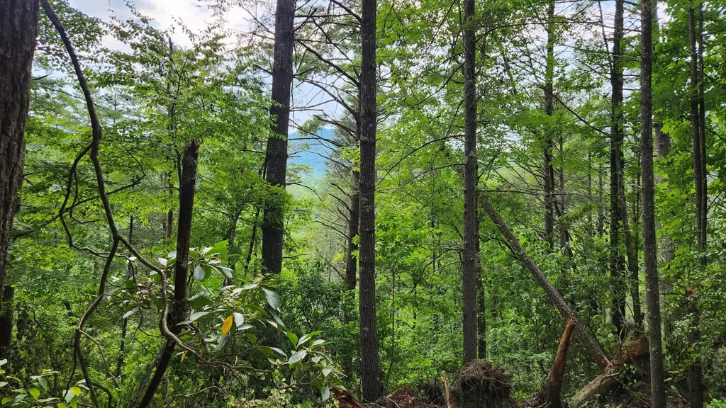 0 Tumbling Creek Road Copperhill TN 37317