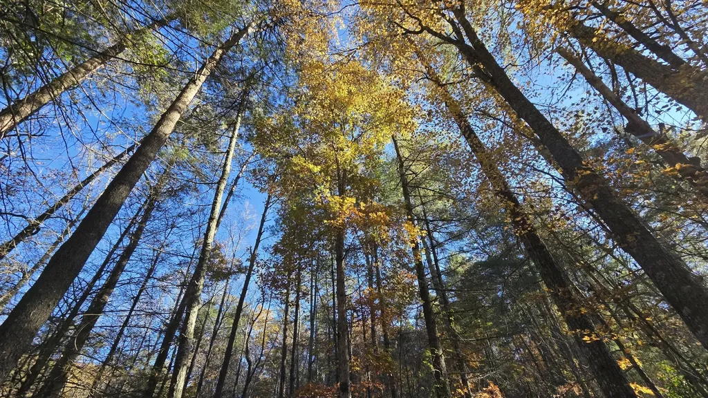 0 Tumbling Creek Road Copperhill TN 37317