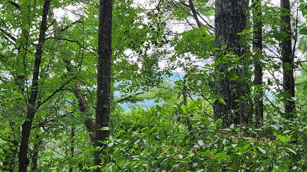 0 Tumbling Creek Road Copperhill TN 37317