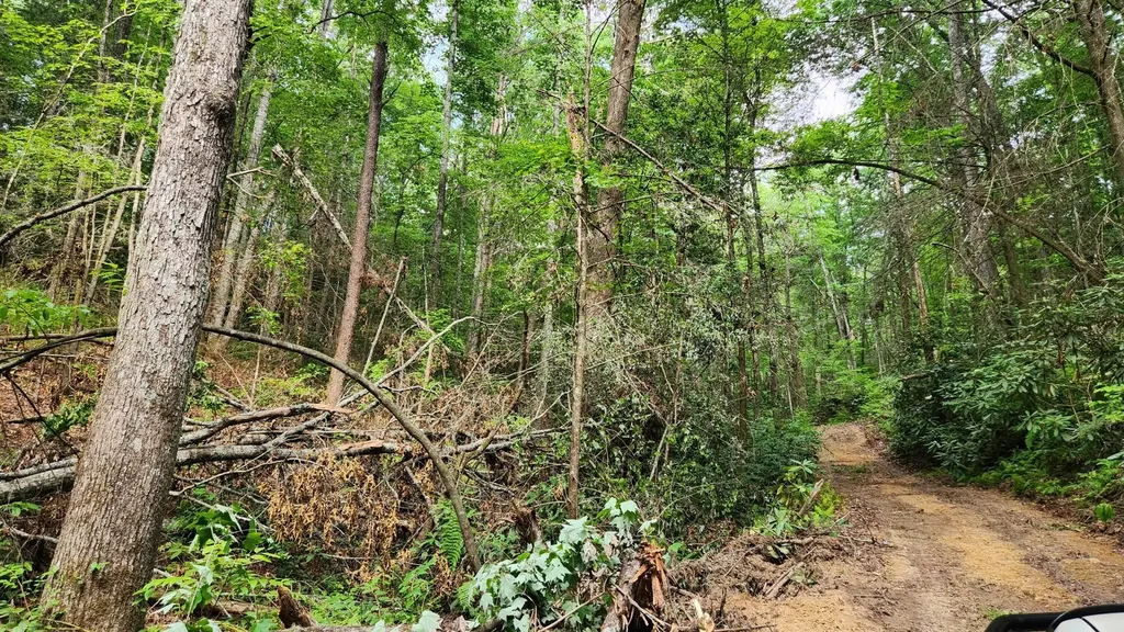0 Tumbling Creek Road Copperhill TN 37317