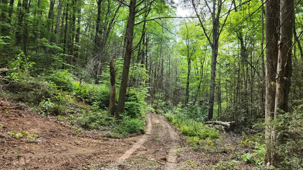 0 Tumbling Creek Road Copperhill TN 37317