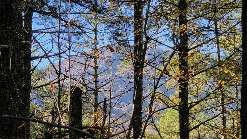 0 Tumbling Creek Road Copperhill TN 37317
