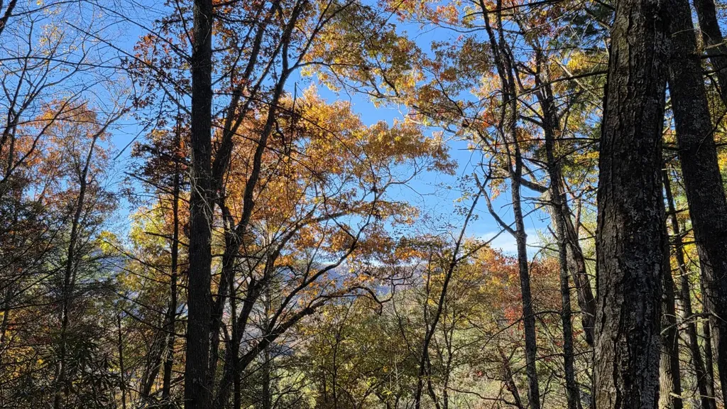 0 Tumbling Creek Road Copperhill TN 37317