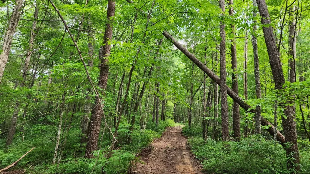 0 Tumbling Creek Road Copperhill TN 37317
