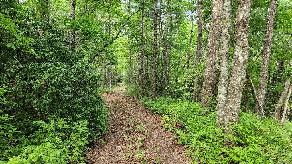 0 Tumbling Creek Road Copperhill TN 37317