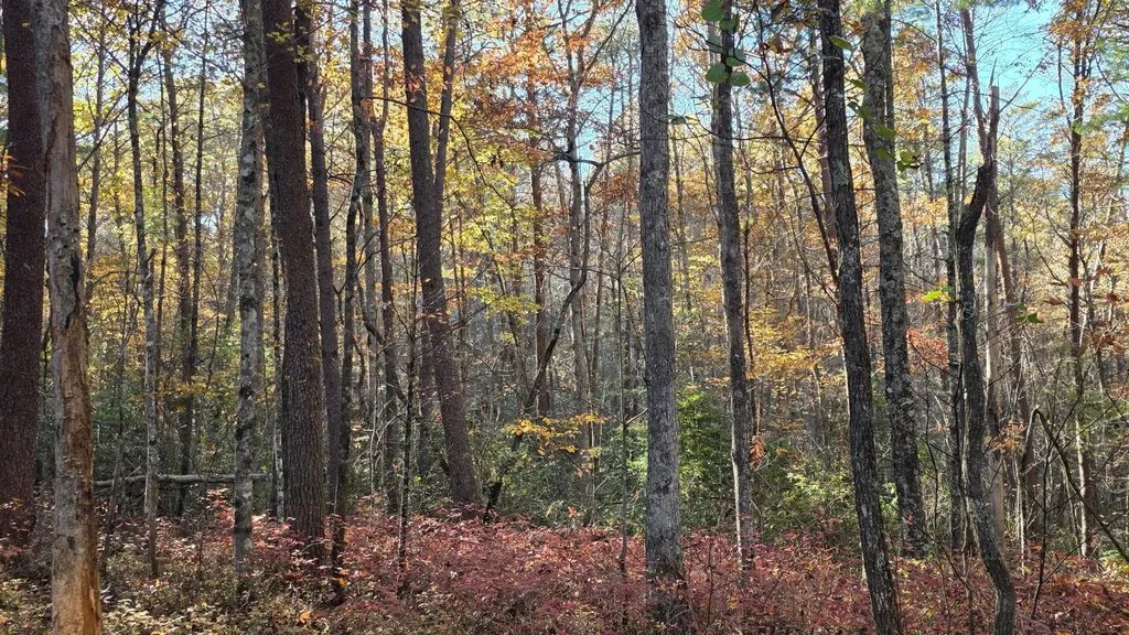 0 Tumbling Creek Road Copperhill TN 37317