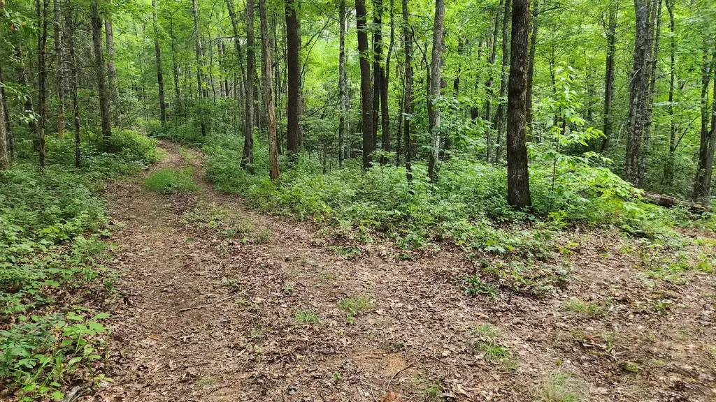 0 Tumbling Creek Road Copperhill TN 37317