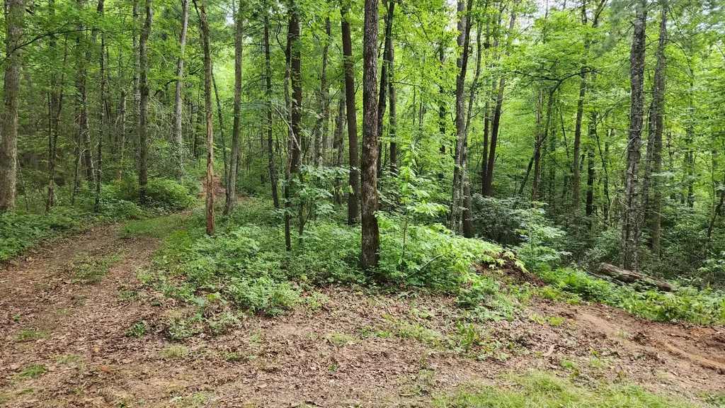 0 Tumbling Creek Road Copperhill TN 37317