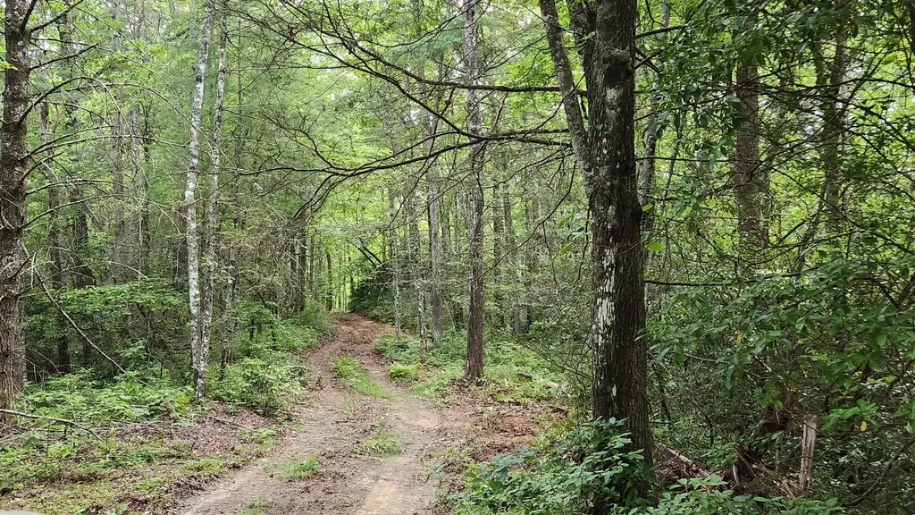 0 Tumbling Creek Road Copperhill TN 37317