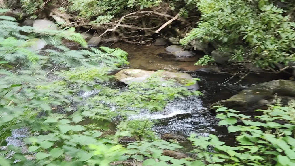 0 Tumbling Creek Road Copperhill TN 37317