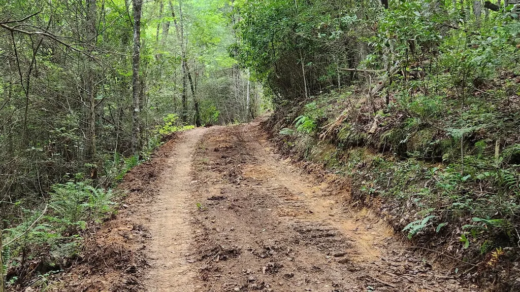 0 Tumbling Creek Road Copperhill TN 37317