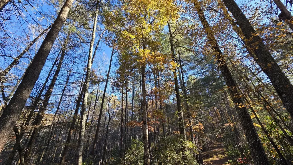 0 Tumbling Creek Road Copperhill TN 37317