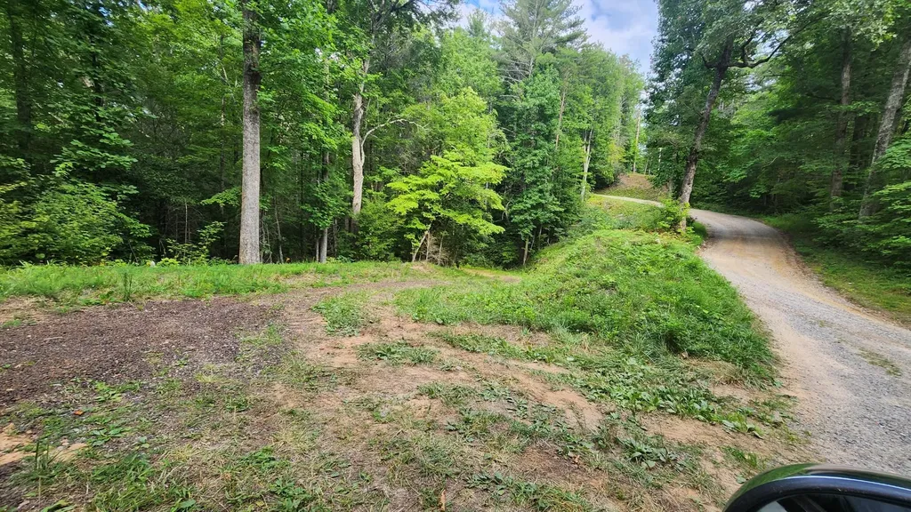 0 Tumbling Creek Road Copperhill TN 37317