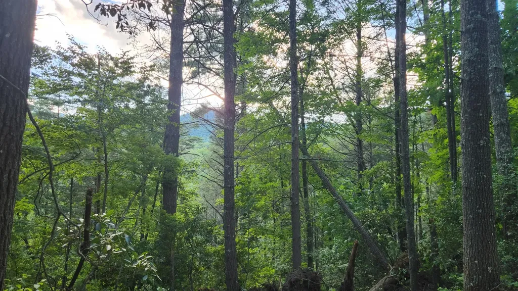 0 Tumbling Creek Road Copperhill TN 37317