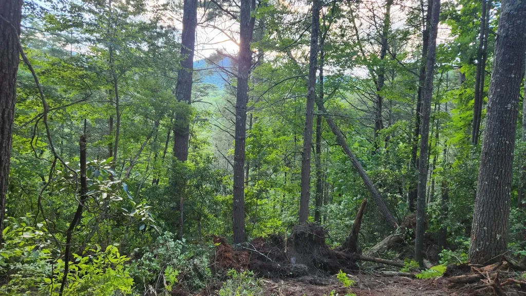0 Tumbling Creek Road Copperhill TN 37317