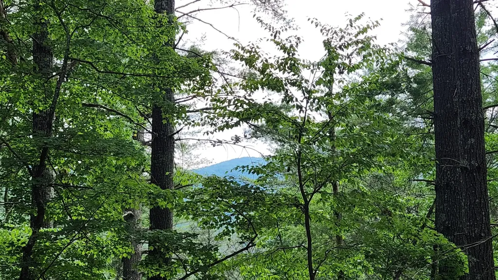0 Tumbling Creek Road Copperhill TN 37317