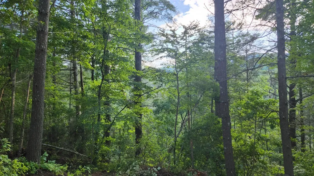 0 Tumbling Creek Road Copperhill TN 37317
