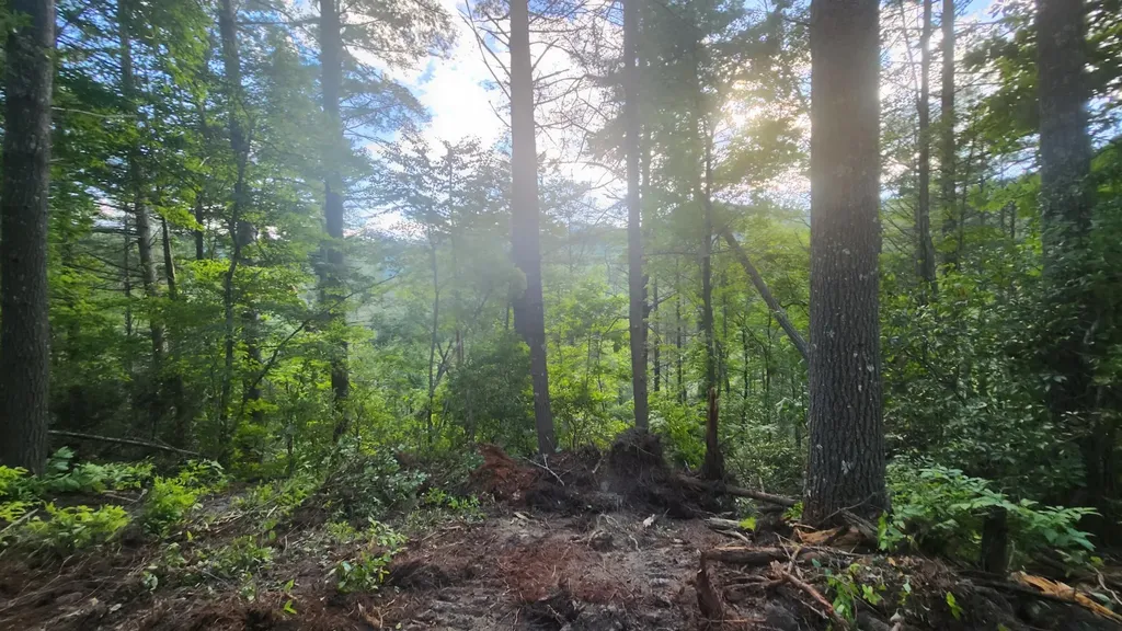 0 Tumbling Creek Road Copperhill TN 37317