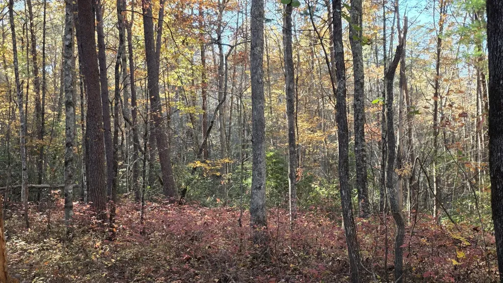 0 Tumbling Creek Road Copperhill TN 37317