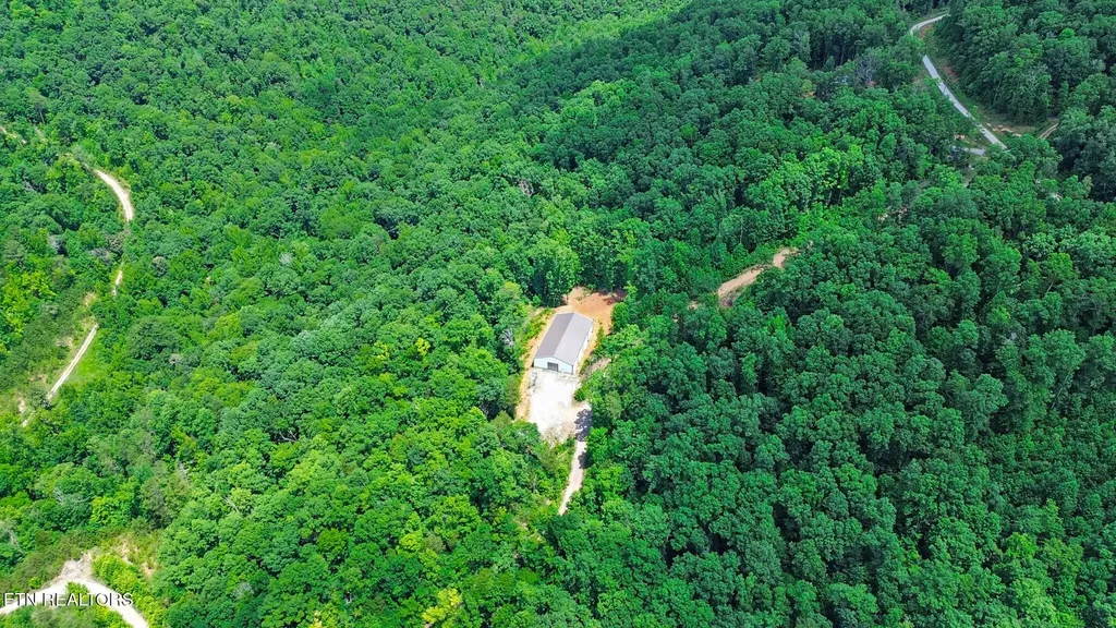 1133 Tomahawk Drive Jamestown TN 38556