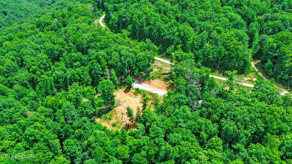 1133 Tomahawk Drive Jamestown TN 38556