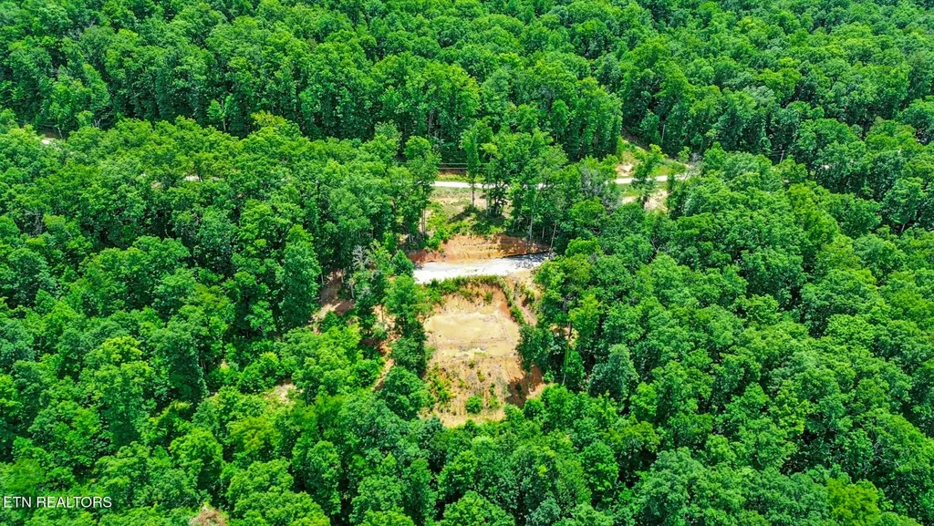 1133 Tomahawk Drive Jamestown TN 38556