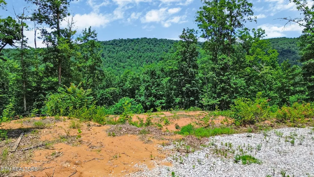 1133 Tomahawk Drive Jamestown TN 38556