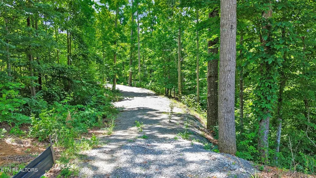 1133 Tomahawk Drive Jamestown TN 38556