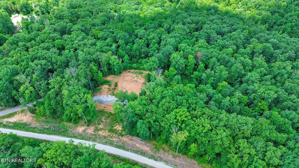 1133 Tomahawk Drive Jamestown TN 38556