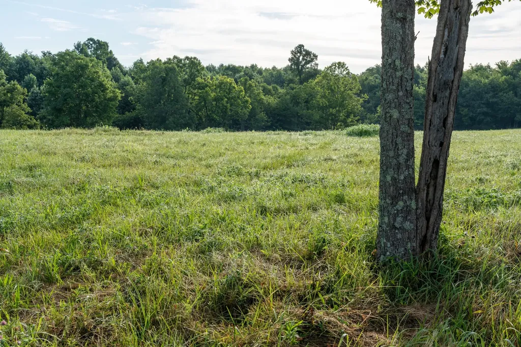 7810 W Lick Creek Road Primm Springs TN 38476