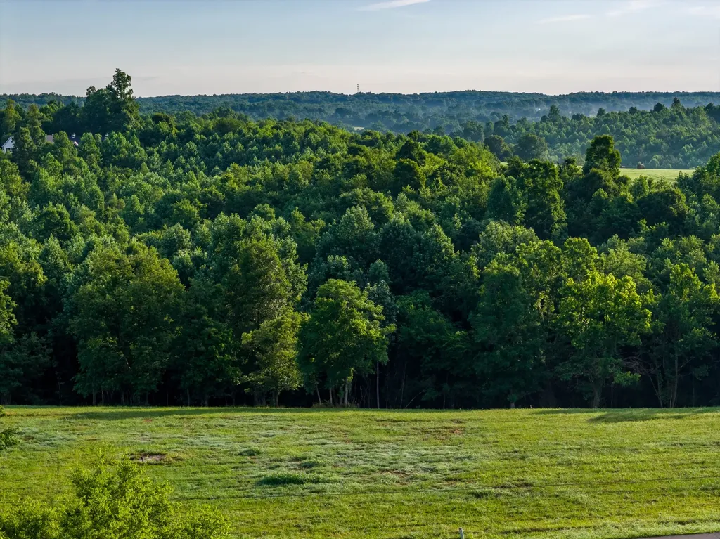 7810 W Lick Creek Road Primm Springs TN 38476