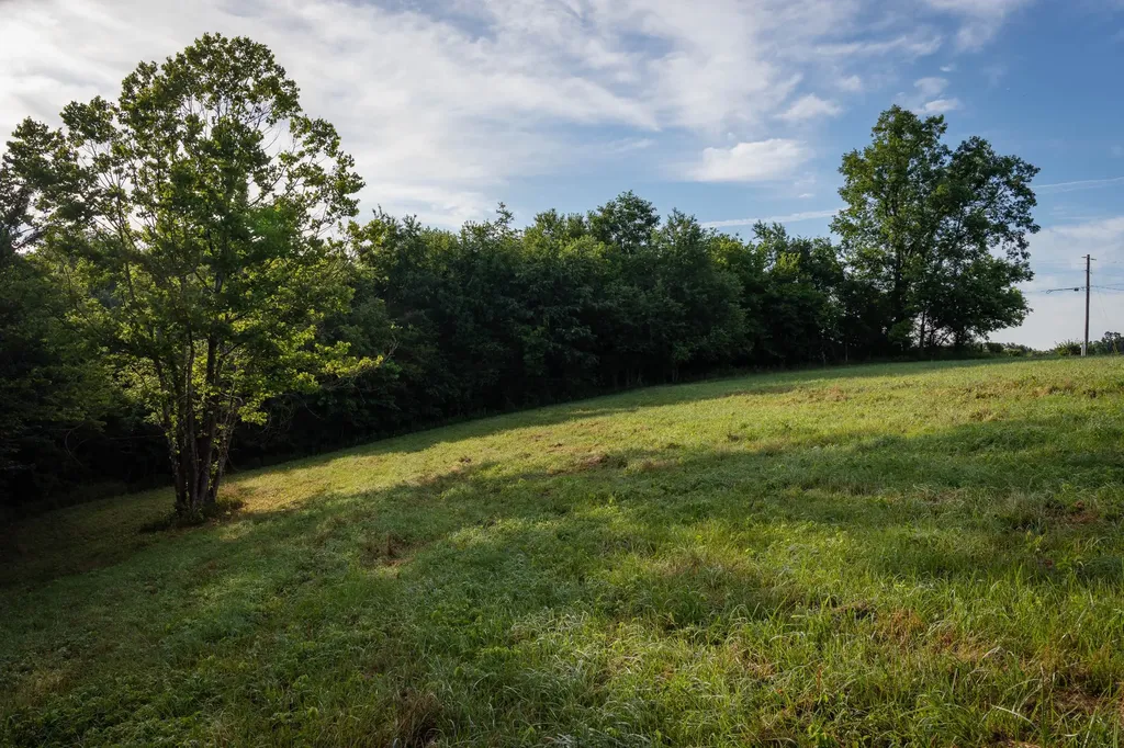 7810 W Lick Creek Road Primm Springs TN 38476