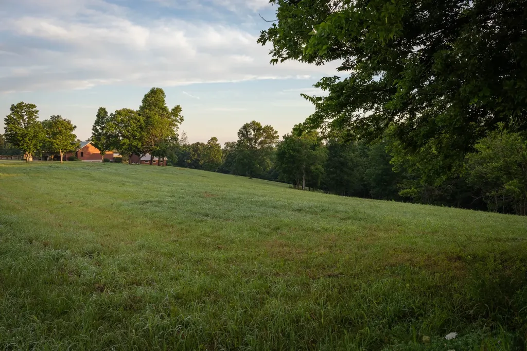 7810 W Lick Creek Road Primm Springs TN 38476
