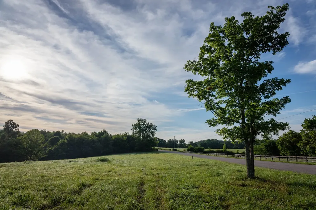 7810 W Lick Creek Road Primm Springs TN 38476