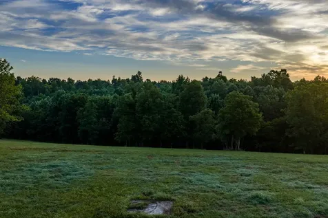 7810 W Lick Creek Road Primm Springs TN 38476
