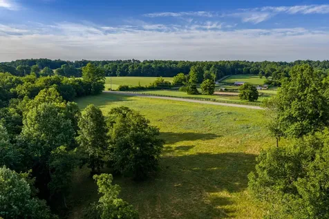 7810 W Lick Creek Road Primm Springs TN 38476