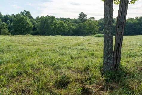 7810 W Lick Creek Road Primm Springs TN 38476