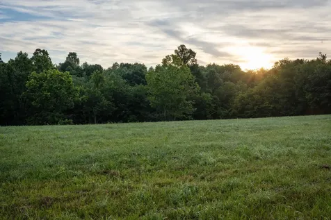 7810 W Lick Creek Road Primm Springs TN 38476