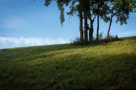 7810 W Lick Creek Road Primm Springs TN 38476