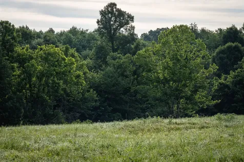 7810 W Lick Creek Road Primm Springs TN 38476