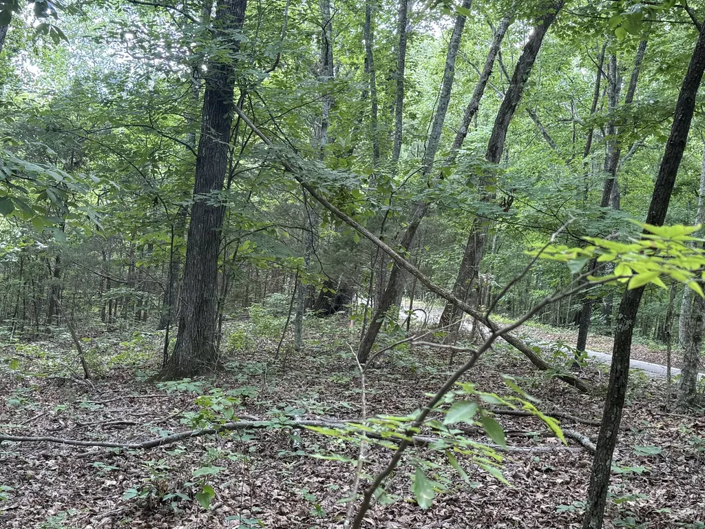 0 Jack Holt Road Prospect TN 38477
